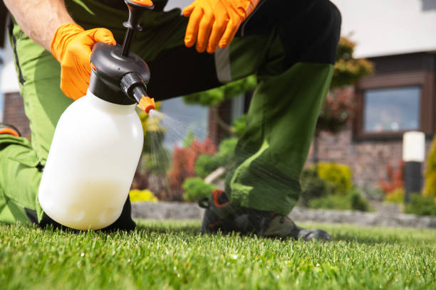 Pest Prevention Services in Claude, TX